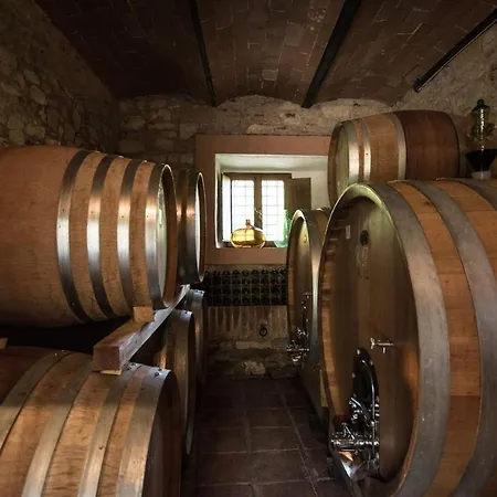 Apartment Buondonno Castellina in Chianti